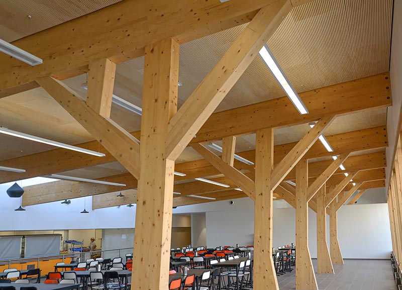 Panneau acoustique bois ab pano 50 dans un réfectoire