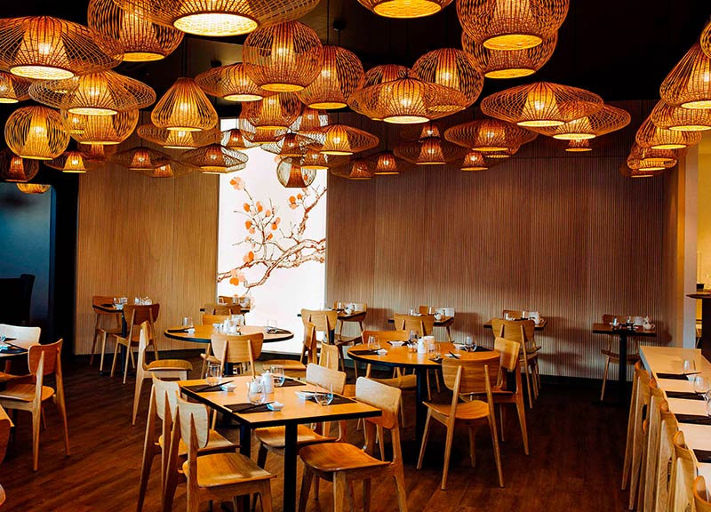 Panneau acoustique bois ab pano dans un restaurant