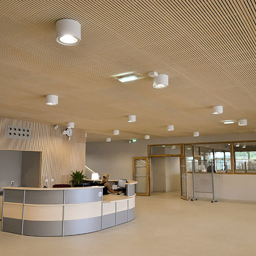 Panneaux acoustiques bois ab pano 50 en plafond dans un hall d'accueil