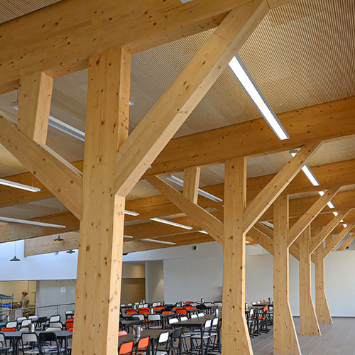 Panneaux acoustiques bois rainurés ab pano 50 au plafond d'un réfectoire
