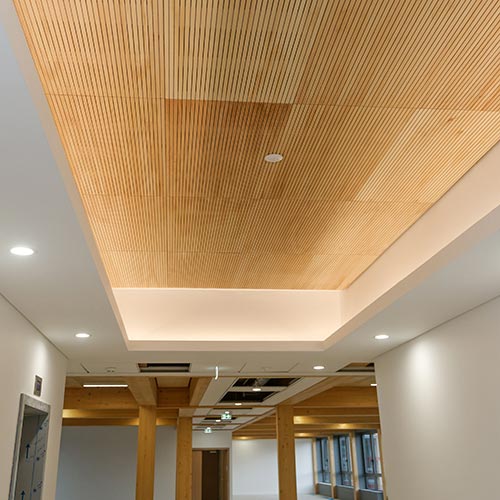 Panneau acoustique en bois ab pano 25 au plafond d'un immeuble de bureaux